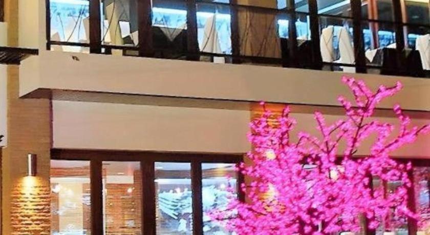 The Airport & Hotel 3*